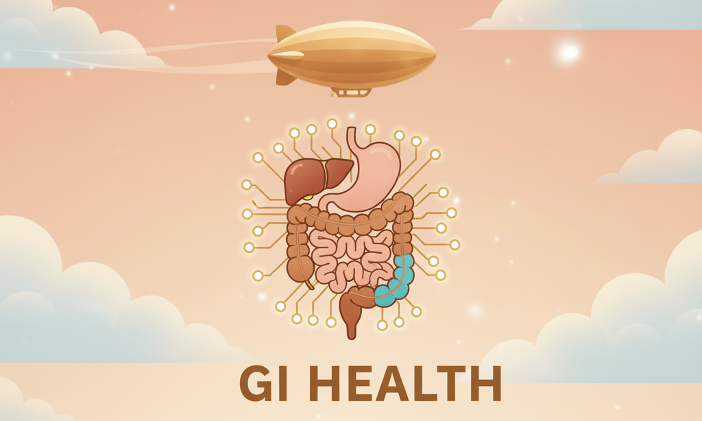 Gastro-Intestinal Health: Fueling & Cleansing Your Body - Benefit Airship