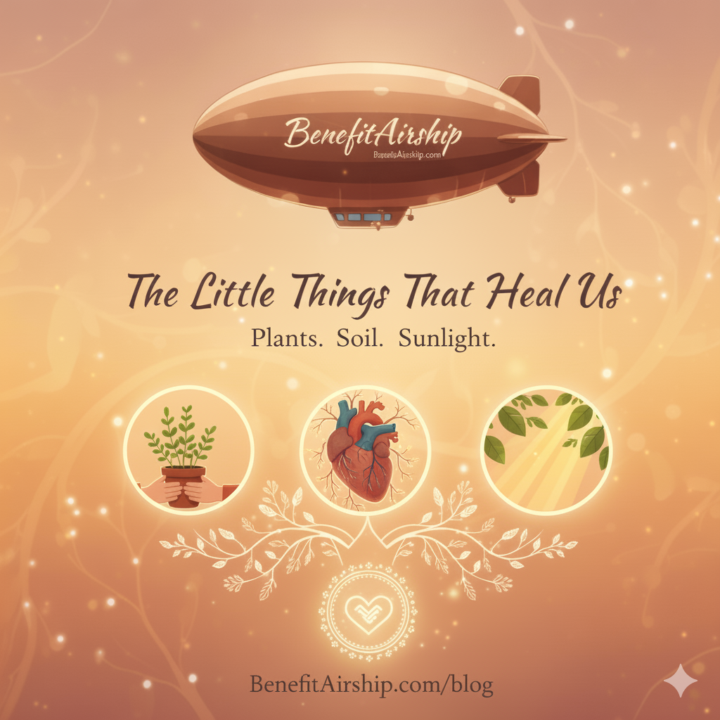 Little Things That Heal Us: Plants